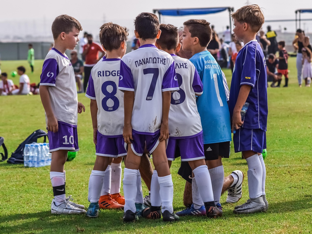 福安水果购买平台